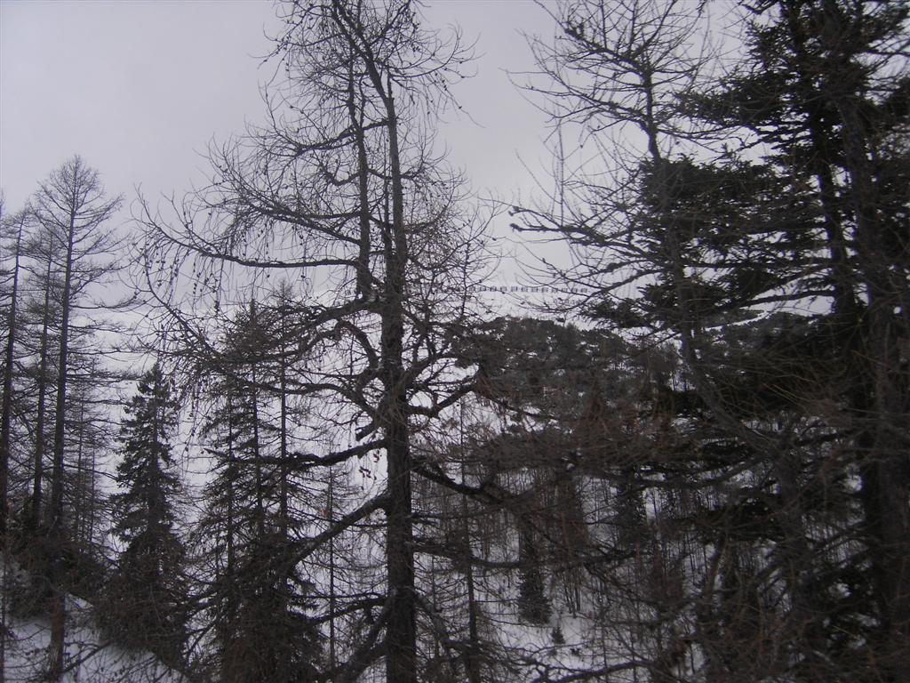 Bilder von unserem Skiurlaub in Achenkirch vom 2. - 7. Januar 2007